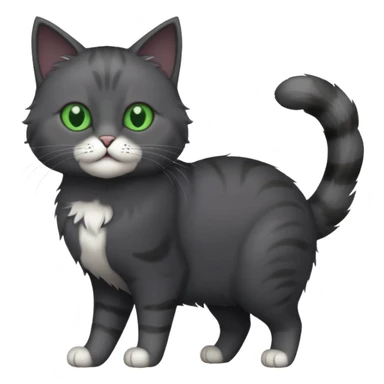 full body gorgeous solid dark grey cat with green eyes, white paws playing sticker