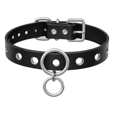 Collar – black leather with silver O-ring. sticker