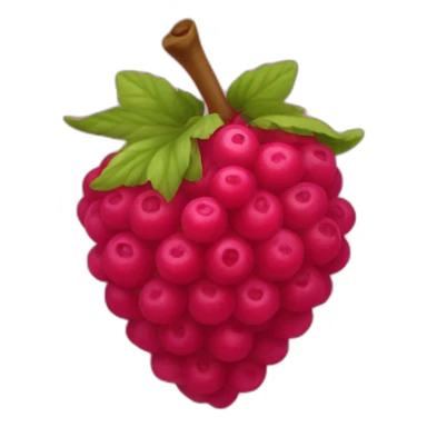 Fruit framboise sticker