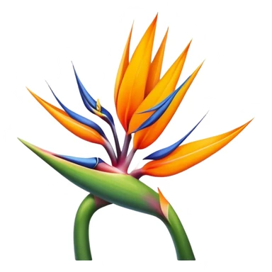 the flower the bird of paradise logo with the letter "A" sticker