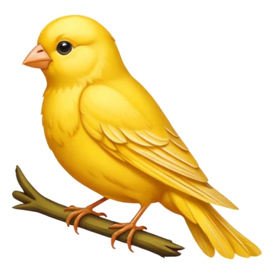 Sarı Kanarya  sticker