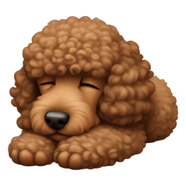 Brown poodle asleep sticker