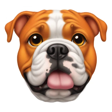 Tangerine t shirt wearing bull dog sticker