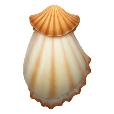 rare sea shell  sticker