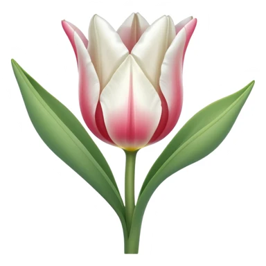 white tulipe sticker