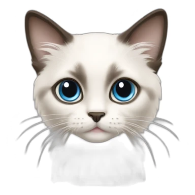 ragdoll kitten with off-white with darker ears sticker