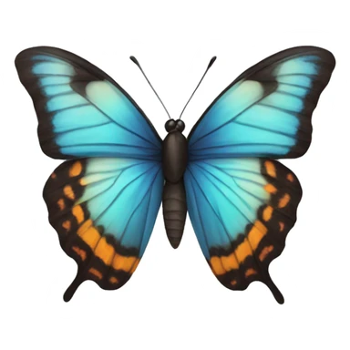 Butterfly  sticker