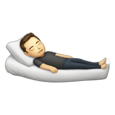 Elon musk sleeping sticker