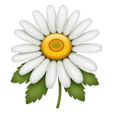 gänseblümchen  sticker