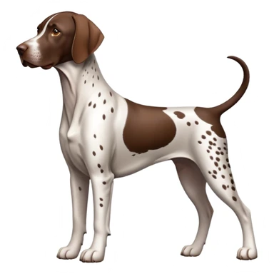 German Shorthaired Pointer Dog Breed Full Body sticker
