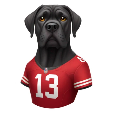 cane corso with a 49ers jersey sticker