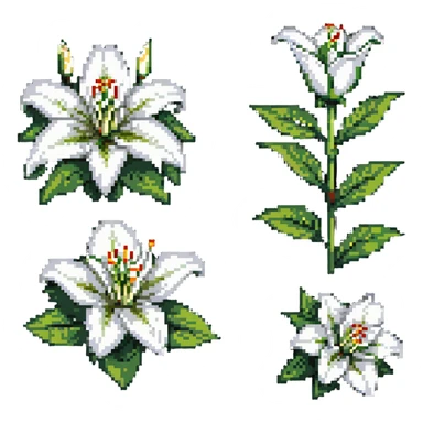 white lily flower with six petals, bud, and green leaves sticker