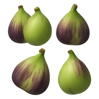 Figs sticker