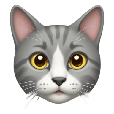 Grey cat with heart shaped nose sticker