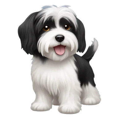 Black and white Havanese dog sticker