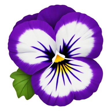 Pansy flower sticker