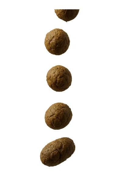 FECI DI ANIMALE A PALLINE UN PO' ALLUNGATE CADONO DALL'ALTO VERTICALMENTE, IPERREALISTICO 4K sticker