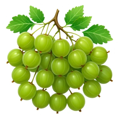 gooseberries in bunch  sticker