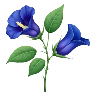 single Blue Butterfly Pea flower, stem, leaf sticker