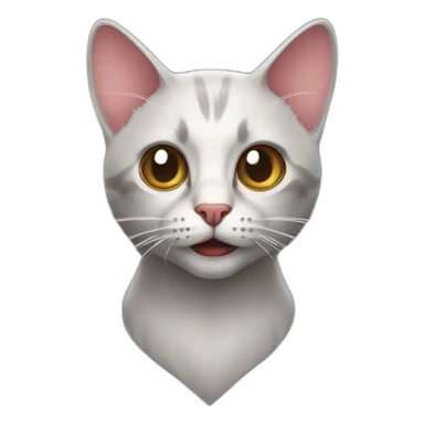 spider man cat sticker