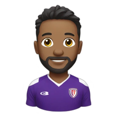 Toulouse Football club sticker