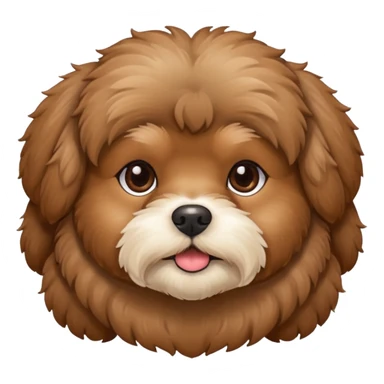 Brown Shihpoo face  sticker