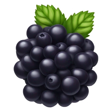 black berry  sticker