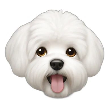 bishon frise sticker