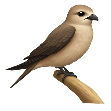 Common swift sticker