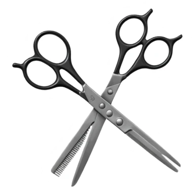 barber shop, scissors, comb. sticker