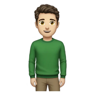 white guy, 30 years old, dark hair, medium height, blue eyes, wearing a green pullover, gray chinos and brown chelsea pants sticker