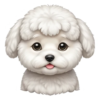 white baby Bichon Frise only face  sticker
