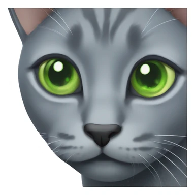 Russian blue cat with green eyes  sticker