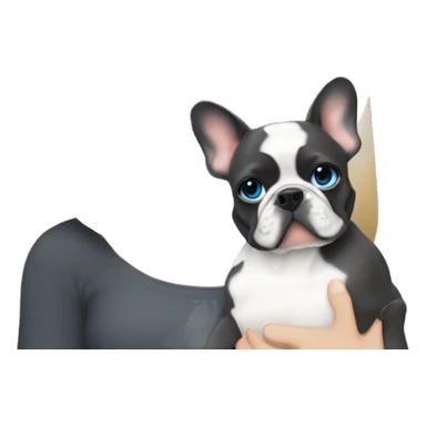 Blonde girl blue eyes holding a dark grey frenchie and a fawn pied frenchie sticker