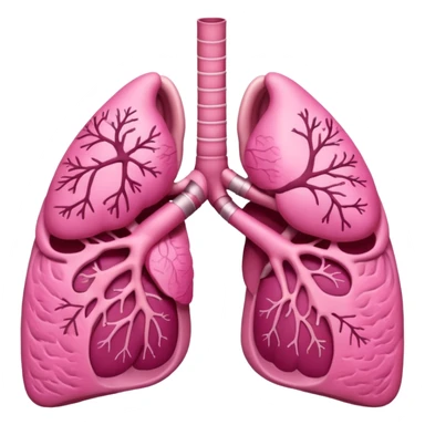 lungs sticker