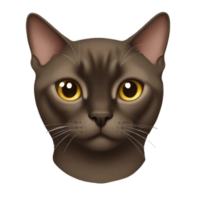 dark brown burmese cat with shaped on the face sticker