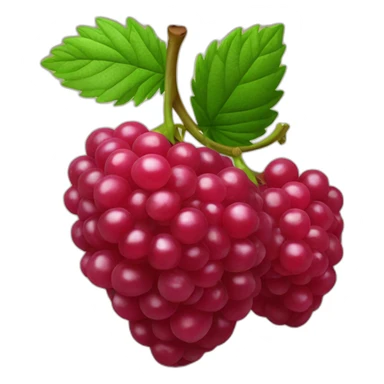 Framboise fruit sticker