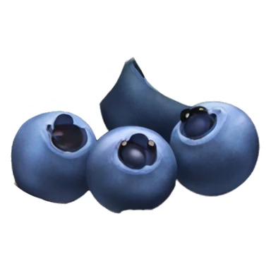Blueberries in coconut bowl sticker