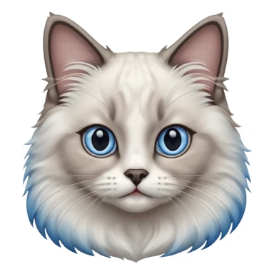 Ragdoll cat, with dark nose area with bright blue eyes sticker