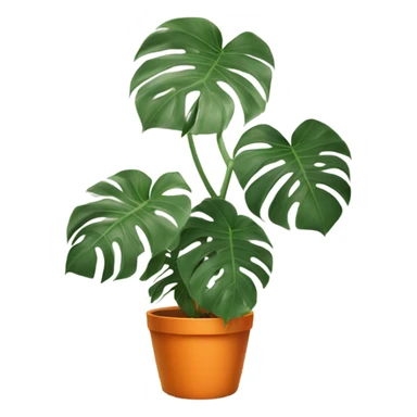 aesthetic monstera in an orange pot against an orange wall sticker