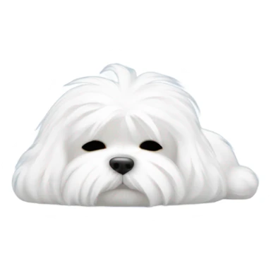 Maltese is sleeping sticker