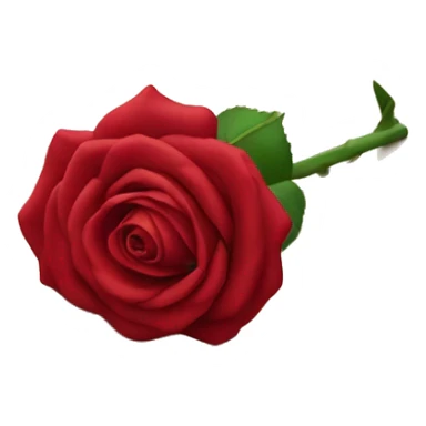 red rose on floor sticker
