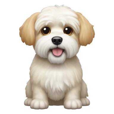 Shitzu Bichon friz dog mix that is cream colored with slightly orange ears.  sticker