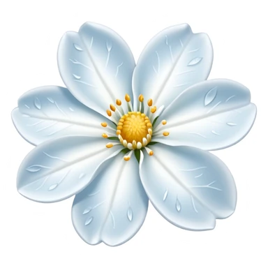 A delicate winter bloom dusted with frost.
















































 sticker