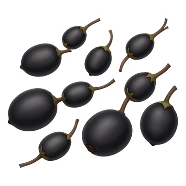 6 black lentils, simple and clear sticker