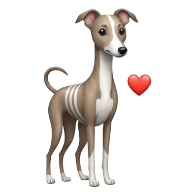 brindle stripes grey whippet heart sticker