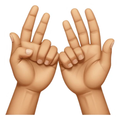 Chinese fist and palm hand gesture sticker