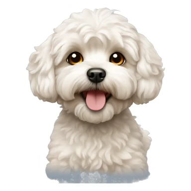 maltipoo dog sticker