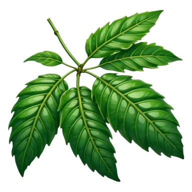 hoja de cafeto sticker