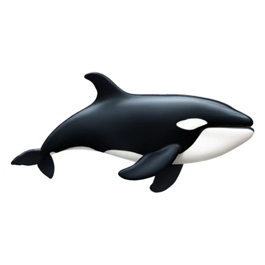 Killer whale  sticker